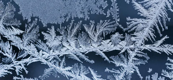 Winter Feenwald Textur Von Frostigen Mustern Winter Hintergrund — Stockfoto