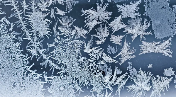 冬天仙境 寒冷的样式纹理冬天背景 免版税图库照片