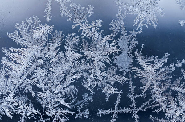 зимний волшебный лес, морозные узоры на стекле
