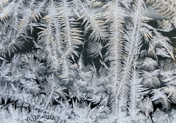 Wintermärchenwald, frostige Muster auf dem Fensterglas — Stockfoto