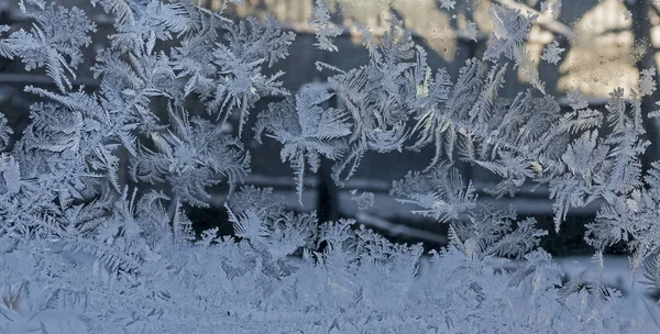 Winter Feenwald Textur Von Frostigen Mustern Winter Hintergrund — Stockfoto