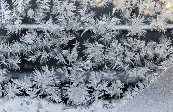 Winter Feenwald Textur Von Frostigen Mustern Winter Hintergrund — Stockfoto