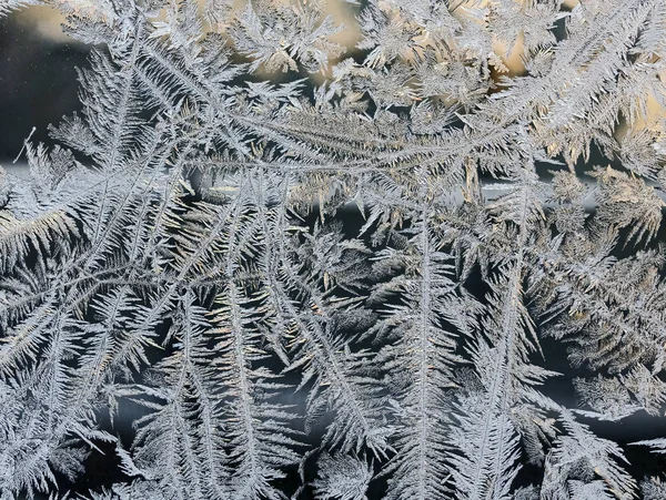 Forêt Fées Hiver Texture Des Motifs Givrés Fond Hiver — Photo