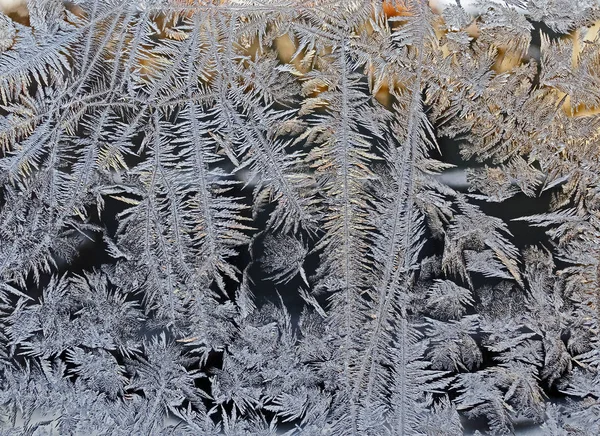Зимовий Казковий Ліс Текстура Морозних Візерунків Зимовий Фон — стокове фото