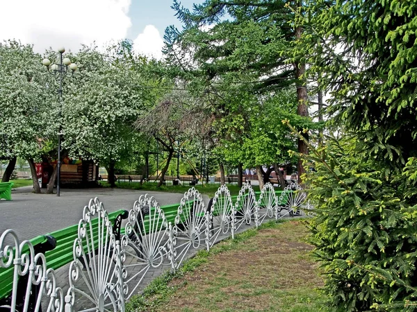 Hermosa cerca rizada en el jardín de la ciudad —  Fotos de Stock