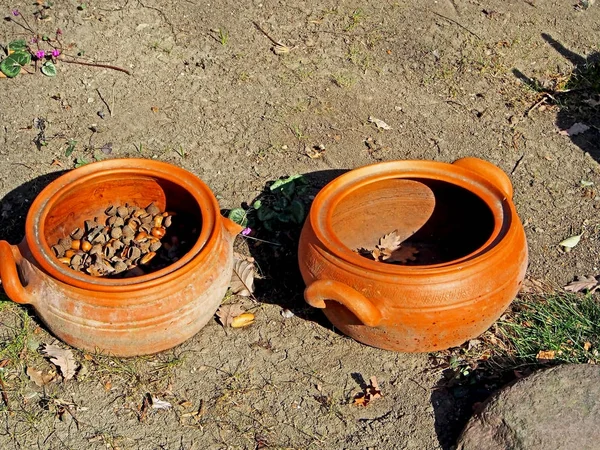 old clay broken pottery with acorns and oak leaves inside on the ground in the yard of a roadside restaurant