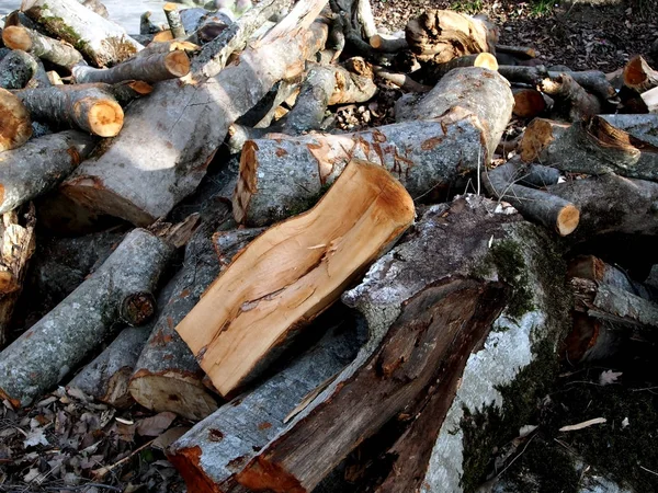 Isıtma için hazırlanan yakacak odun yığını — Stok fotoğraf