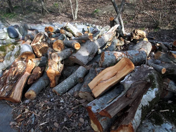 Pile of firewood prepared for heating — Stock Photo, Image