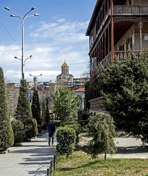 Small green street in old Tbilisi in spring — Stock Photo, Image