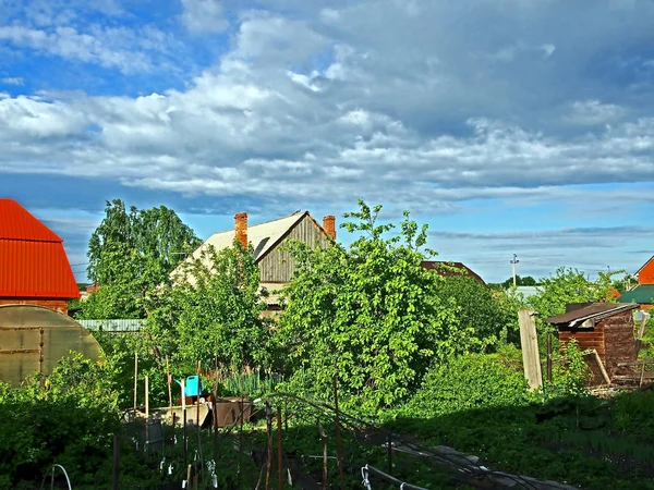 Cielo azul de la mañana con nubes claras sobre el campo — Foto de Stock