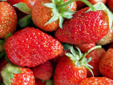 bir tabakta büyük olgun çilek toplanan, makro