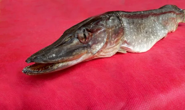 Dried lake pike on the table — Stock Photo, Image