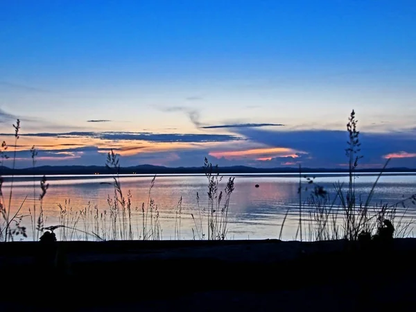 傍晚湖岸边的草的剪影与地平线上的浅烟云 — 图库照片