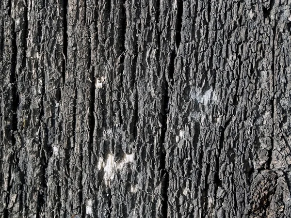 Textura do velho placas manchadas e rachadas ao ar livre — Fotografia de Stock