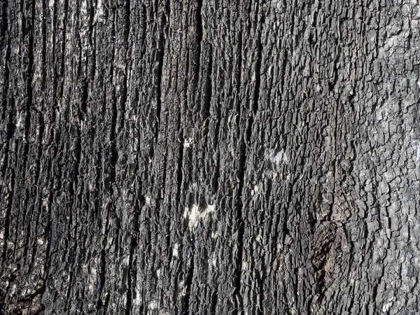 Textuur van de oude bevlekte en gebarsten planken buitenshuis — Stockfoto
