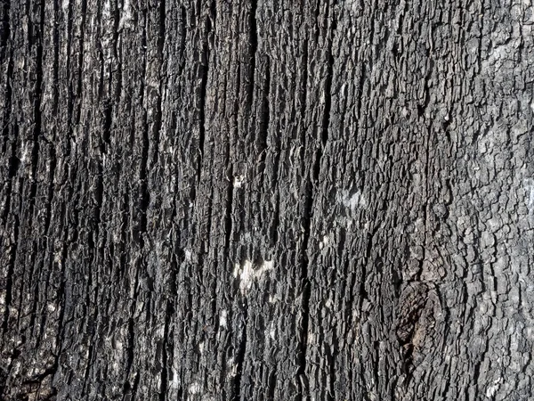 Textura de las viejas tablas manchadas y agrietadas al aire libre —  Fotos de Stock