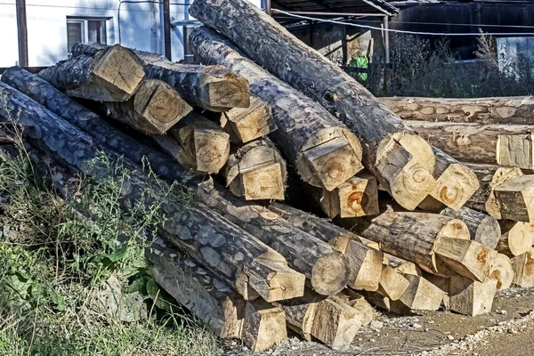 Kulatina připravená pro výrobu dřevěného domu — Stock fotografie