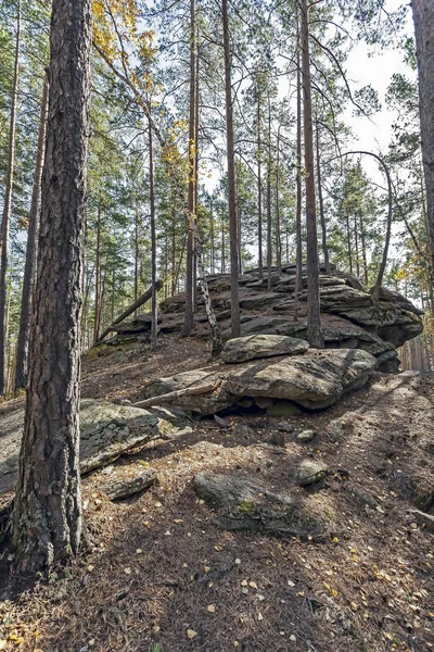 Floresta de pinho de outono no sul dos Urais perto do cume de Chashkovsky perto da cidade de Miass — Fotografia de Stock