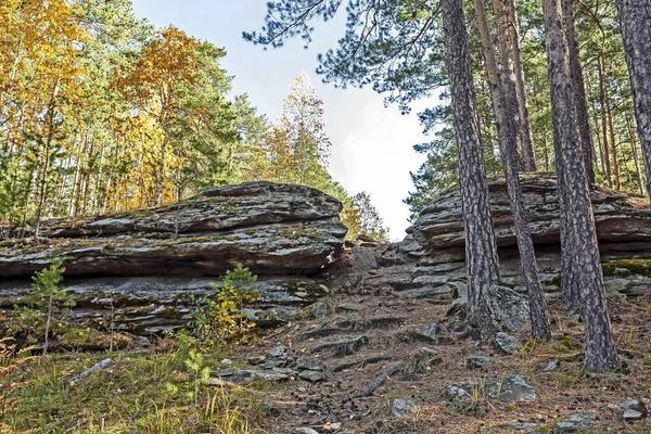 Herfst dennenbos in de zuidelijke Oeral bij de Chashkovsky bergkam bij de stad Miass — Stockfoto