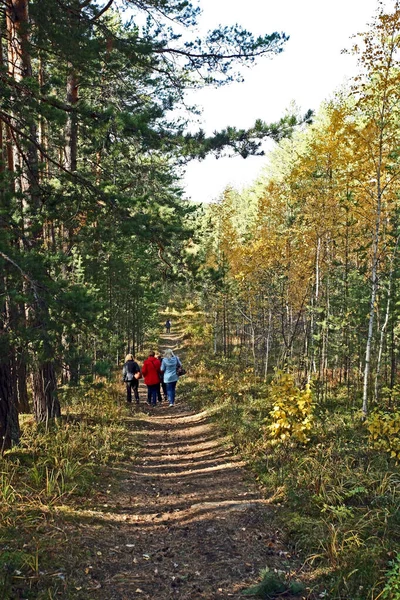 Ścieżka na spacery po jesiennym lesie na południowych Uralach — Zdjęcie stockowe