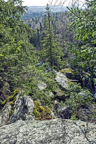 Wilder Wald im Bereich des schwarzen Felsens und des Taganay-Berges — Stockfoto