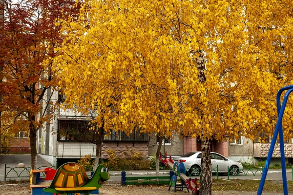 Bříza s jasně žlutými podzimními listy na dvoře domu — Stock fotografie