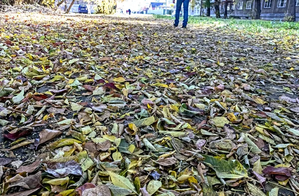 Fallen autumn leaves all over the sidewalk, the view from the bottom — Stock Photo, Image