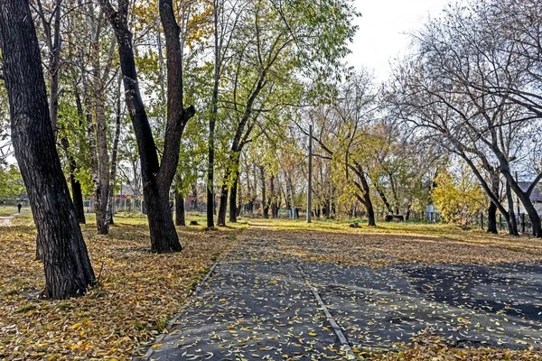 Lehullott őszi levelek az egész járdán, a kilátás alulról — Stock Fotó