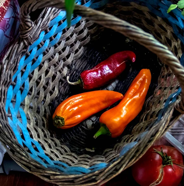 Drie Gekleurde Rijpe Paprika Mand — Stockfoto