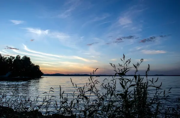 Gölün üzerinde akşam gökyüzüne karşı kıyı bitkilerinin siluetleri