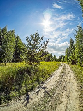 Orman kıyısı güneşli bir günde, açık bulutlu mavi gökyüzü, yeşil alan, Güney Ural, Rusya