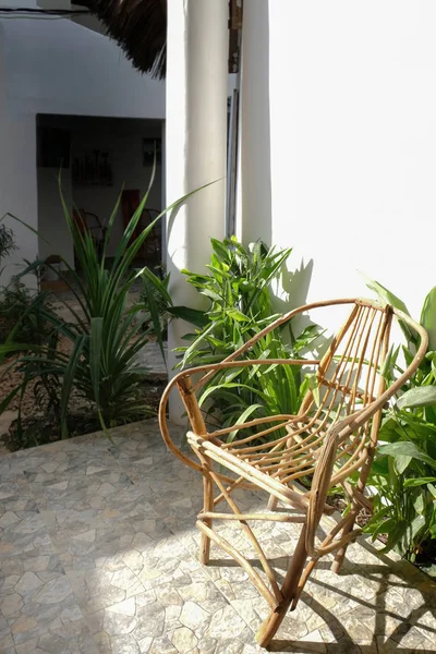 A wicker chair and green plants in the hotel interior against a white wall. Africa, Zanzibar