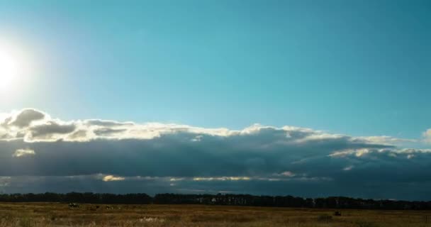 草原で日没時に夕方の空でふわふわの雲を移動のタイムラプス — ストック動画