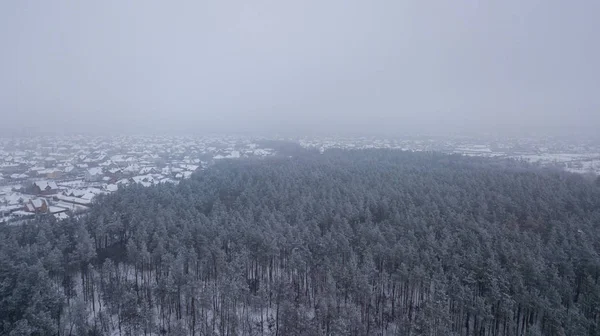 View of the winter forest from bird\'s eye. Snowy landscape of a frozen forest at cloudy winter weather.