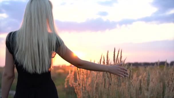 Beautiful girl in black dress runs through the field at sunset. The girl goes to the setting sun through the field. Touching the Grass by Hand Slow Motion — Stock Video