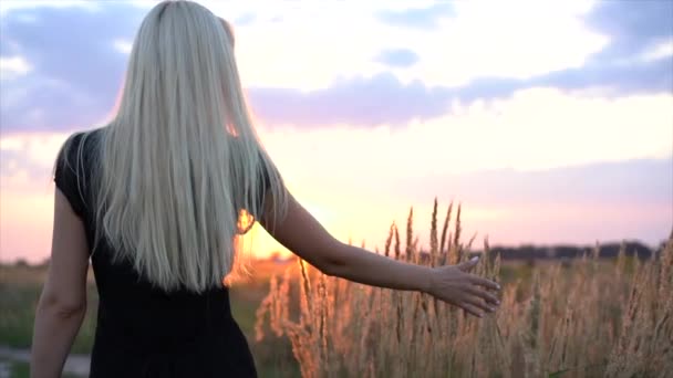 Beautiful girl in black dress runs through the field at sunset. The girl goes to the setting sun through the field. Touching the Grass by Hand Slow Motion — Stock Video