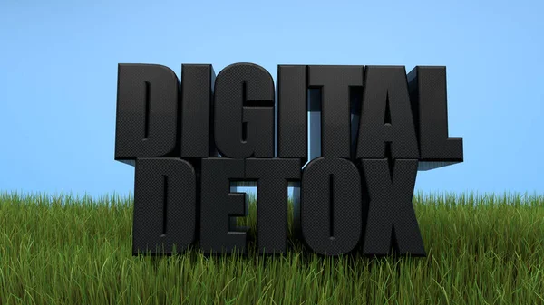 Digital Detox czarny napis w trawie na tle niebieskiego nieba. 3d renderowanie Obrazy Stockowe bez tantiem