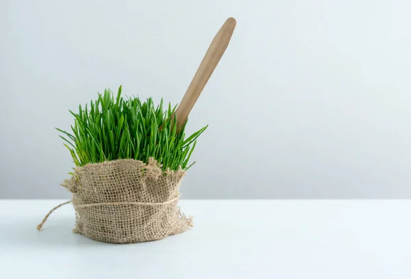 Trigo microverde envuelto en arpillera y un tenedor de madera, comida saludable —  Fotos de Stock