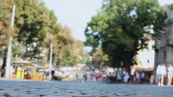 Chica adolescente caminando por el bulevar en un día soleado con una mochila en zapatillas de deporte — Vídeos de Stock