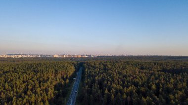 Gün batımında bir çam ormanında pistin üzerinde İHA uçurmak, açık mavi gökyüzü şehrin arka planında