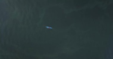 Mavi kano yukarıdan nehir manzarasında yüzüyor.