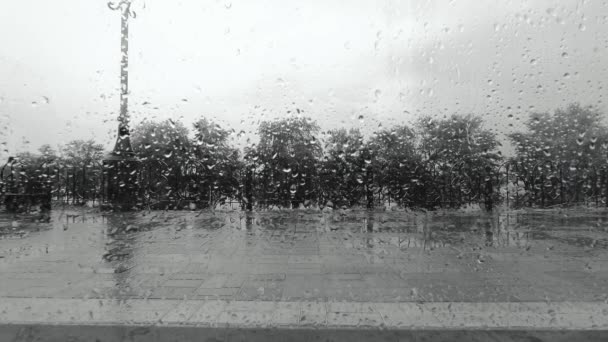 Drops flow down the glass in the rain against the background of the embankment and shit, black and white video — Wideo stockowe