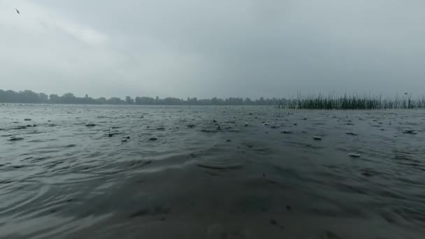 雨の中の川の水面、森と銀行を背景にしたスローモーション撮影 — ストック動画