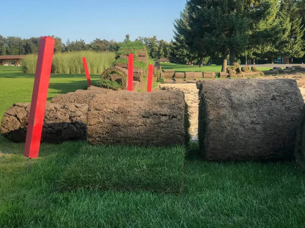 Rolls trawnika, na polu golfowym w parku w słoneczny dzień, na tle sosen Zdjęcie Stockowe
