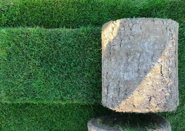 Rolos de grama de gramado, em um campo de golfe em um parque em um dia ensolarado, contra um fundo de pinheiros — Fotografia de Stock