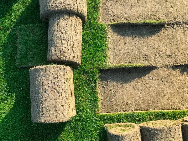 Rullar av gräsmatta grönt gräs ovanifrån med remsor av jord Stockbild