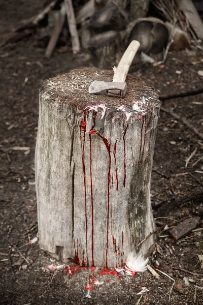 an ax on the stump, around the chicken feathers, the red blood flows, close up