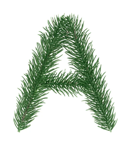 Harf Ngilizce Alfabe Noel Ağacı Dalları Yeşil Çam Toplanan Beyaz — Stok fotoğraf