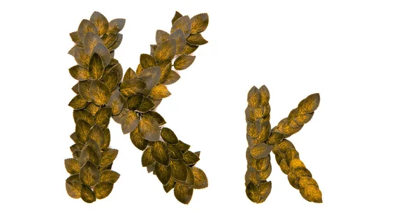 Буква Английская Habet Сделанная Желтых Осенних Листьев Изолированный Белом Фоне — стоковое фото