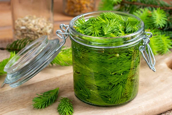 Burk Fylld Med Unga Spruce Tips Och Alkohol Att Förbereda — Stockfoto